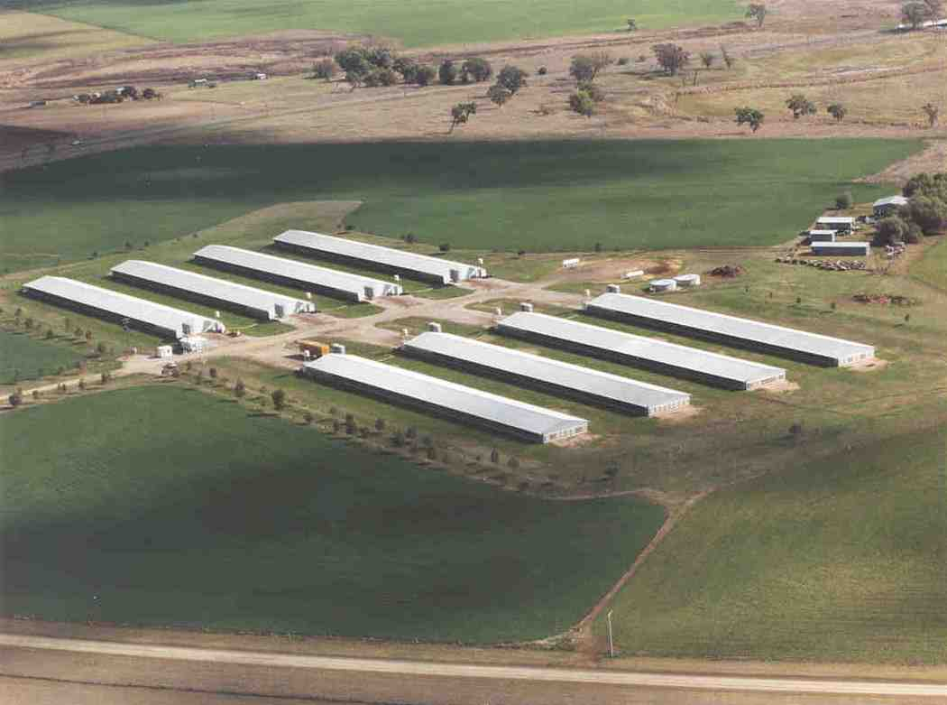 regional-poultry-farm-near-me-farm-house